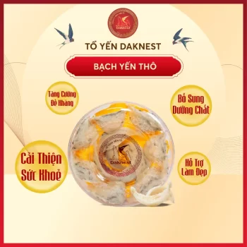 bạch yến thô daknest (2)_4